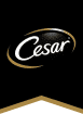 CESAR